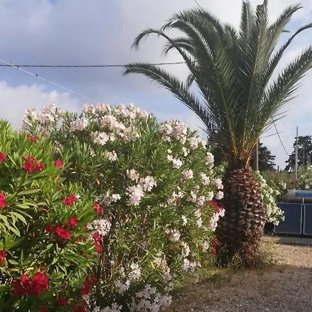 Karissa - Zante Vasilikí