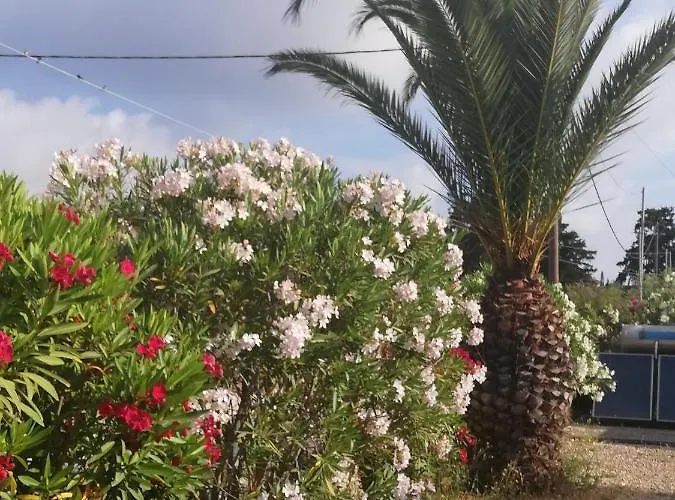 Karissa - Zante Vasilikí