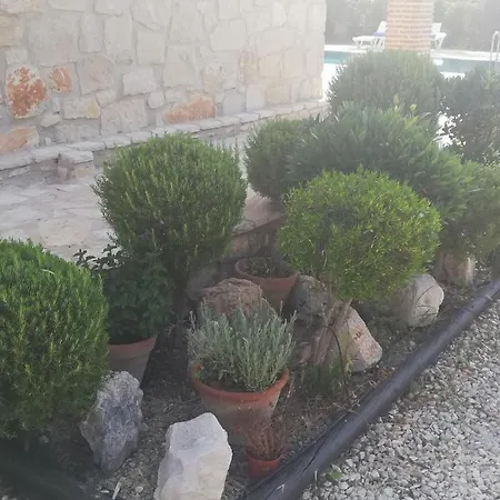 Karissa - Zante アパート